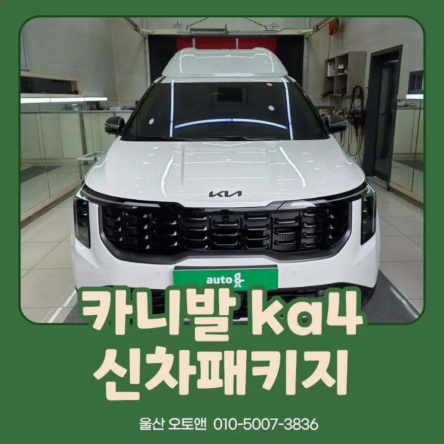 Kia Carnival KA4 new car package installation result