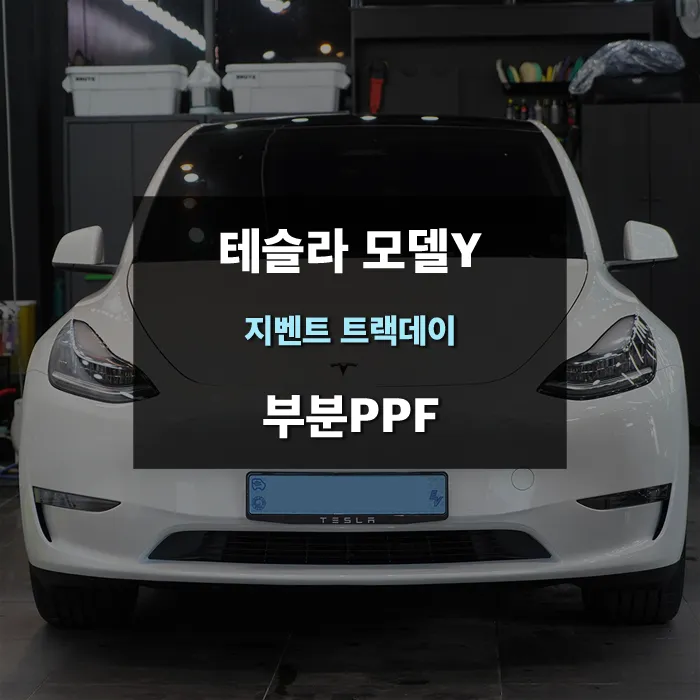 Tesla Model Y PPF施工事例：費用目安と仕上がり 写真