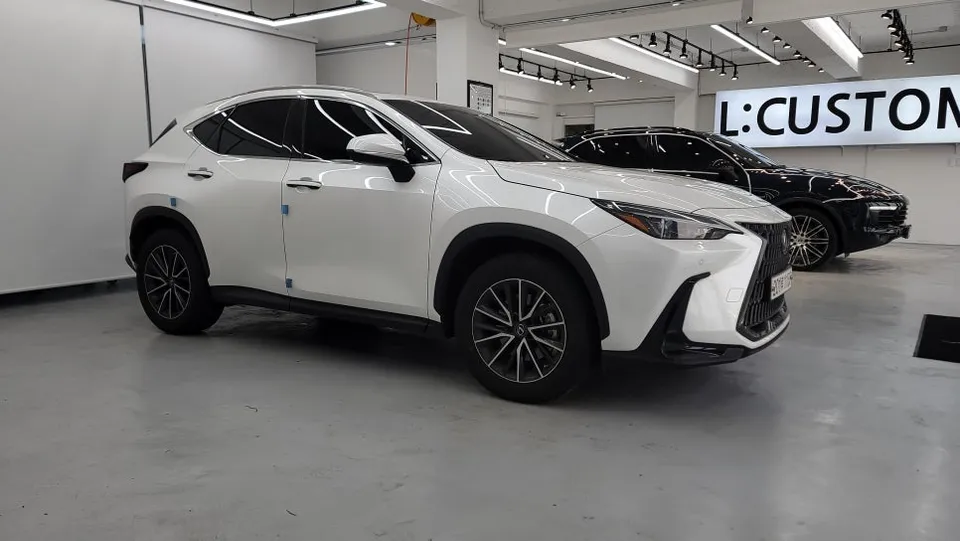 Lexus NX ceramic coating installation result