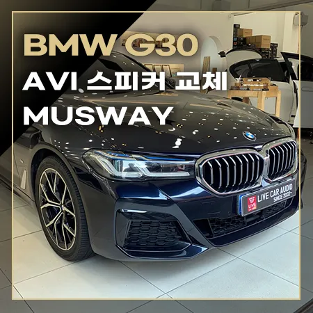 BMW 5 Series G30 car audio installation result