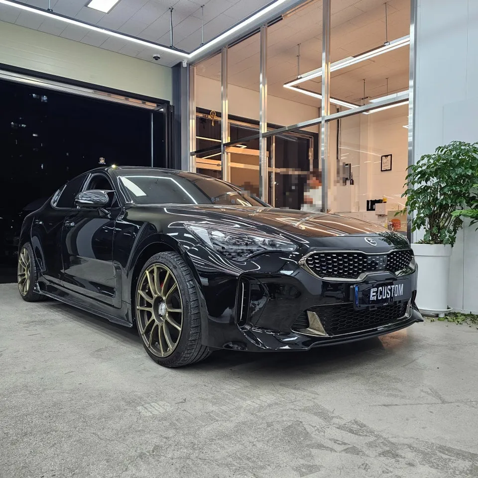 Kia Stinger Meister steering wheel - Kia Stinger Steering Wheel Customization Review photo 8