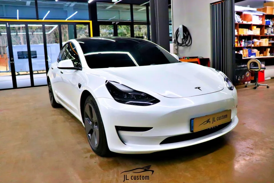 Tesla Model 3 Seat Climate Upgrade Review