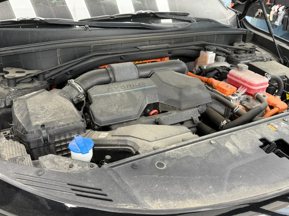 Kia Sorento Paint Correction & Glass Coating Review photo 2