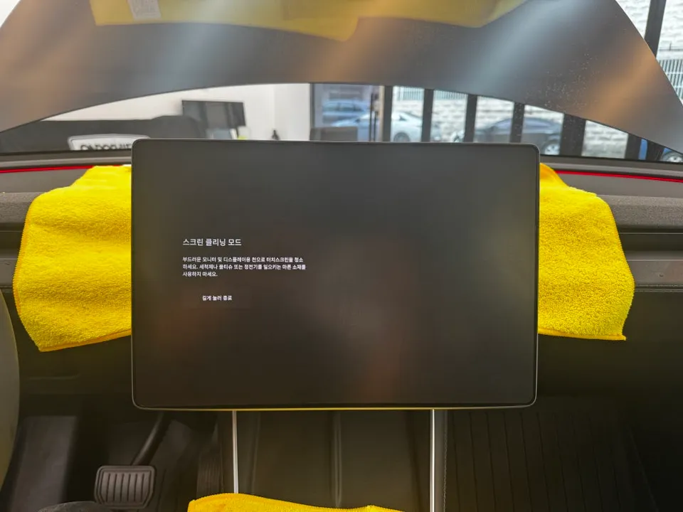 Tesla Model Y ppf - Tesla Model Y PPF Review: Matte Finish & Cost photo 3