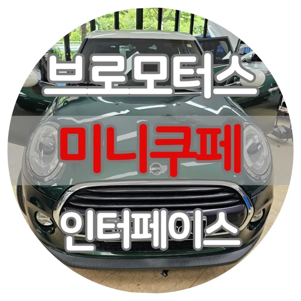 BMW MINI Cooper oem options installation result