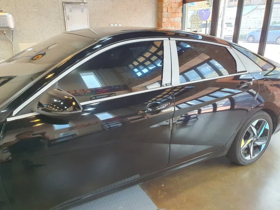 Hyundai Elantra other - Hyundai Elantra Auto Service Review — High-Gloss Molding Upgrade photo 5
