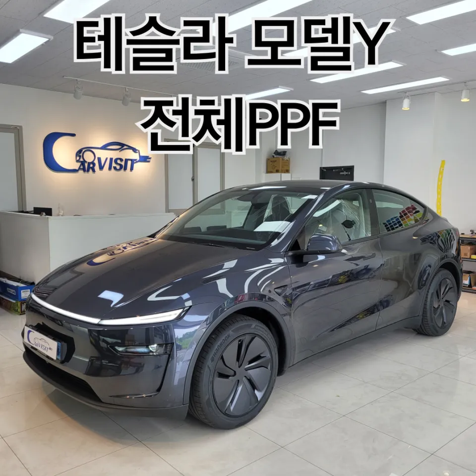 Tesla Model Y ppf review