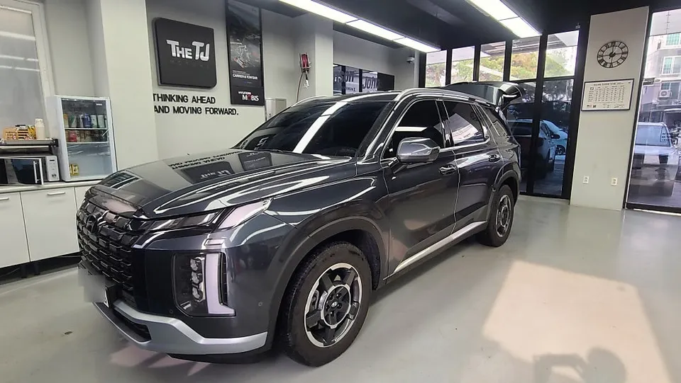 Hyundai Palisade oem options installation result