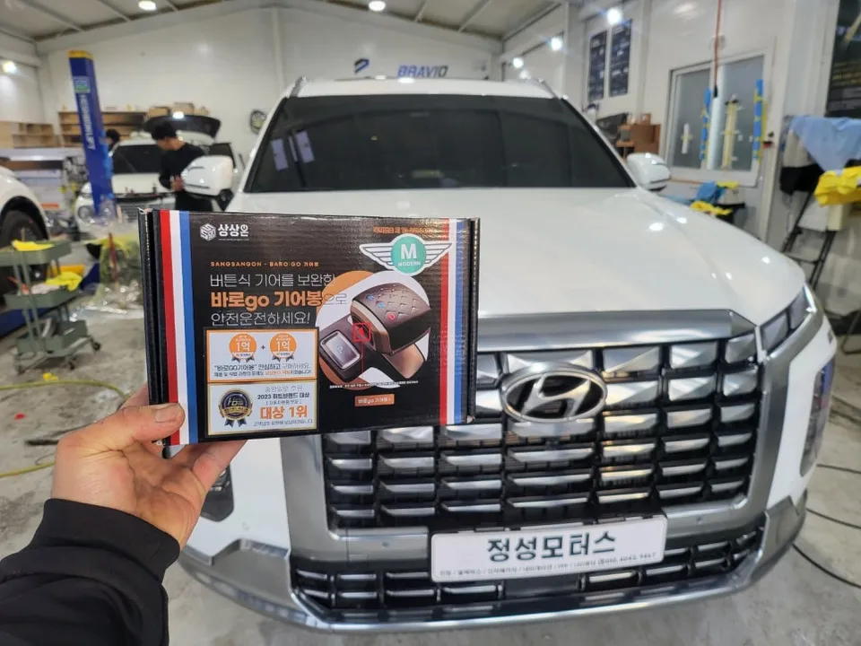 Hyundai Palisade steering wheel - Hyundai Palisade Steering Wheel Customization Review photo 5
