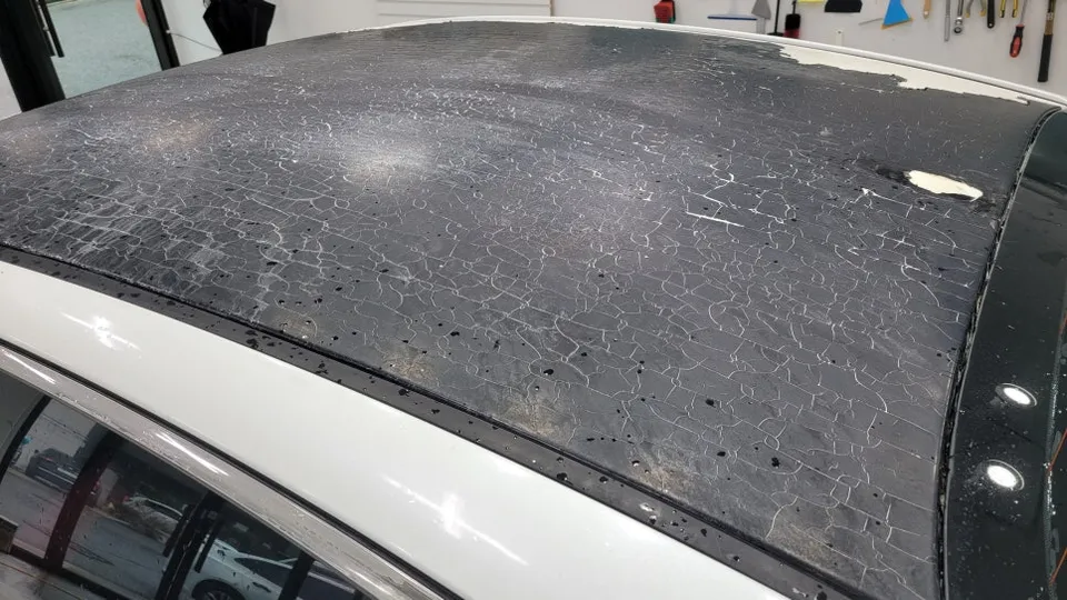 Kia K5 window tinting - Kia K5 Window Tinting Review — Enhanced Privacy & UV Protection photo 3