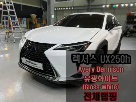 Lexus UX 250hのカーラッピング事例｜費用目安・仕上がり 写真