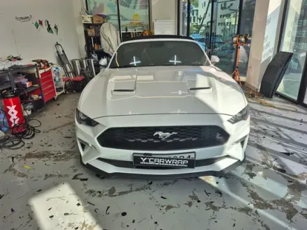 Ford MustangのカラーPPF施工事例｜費用目安と仕上がり 写真