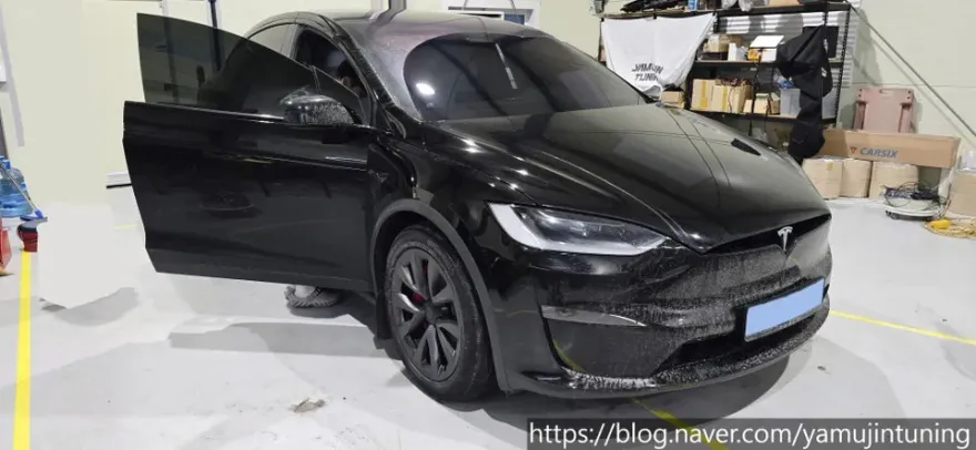 Tesla Model X ambient lighting - Tesla Model X Ambient Lighting Review: Dynamic Glowmotion photo 2