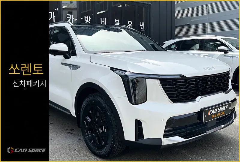Kia Sorento new car package installation result