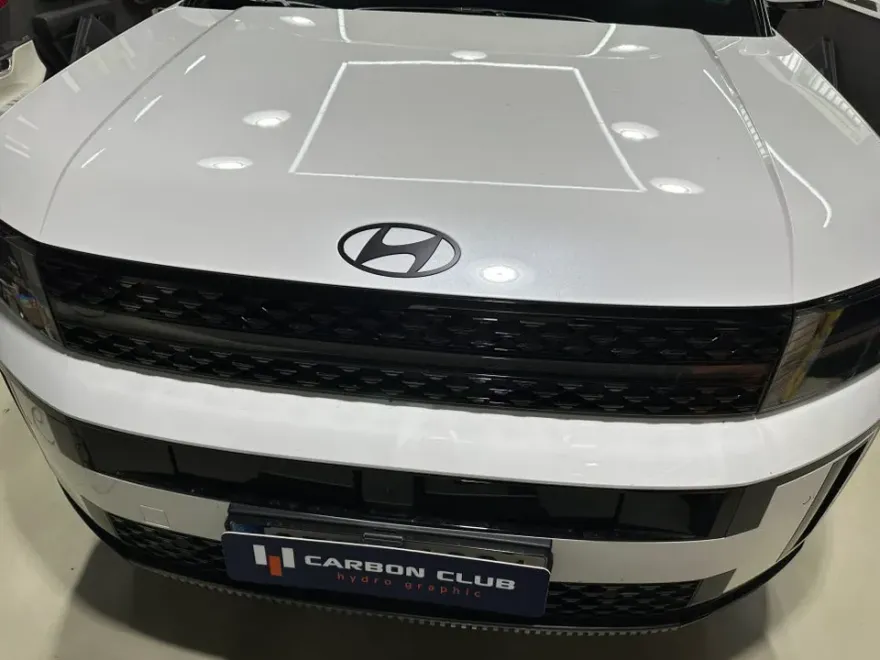 Hyundai Santa Fe MX5 new car package - Hyundai Santa Fe MX5 New Car Protection Package Review photo 3