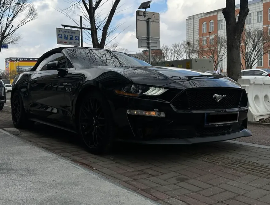 Ford Mustang oem options installation result