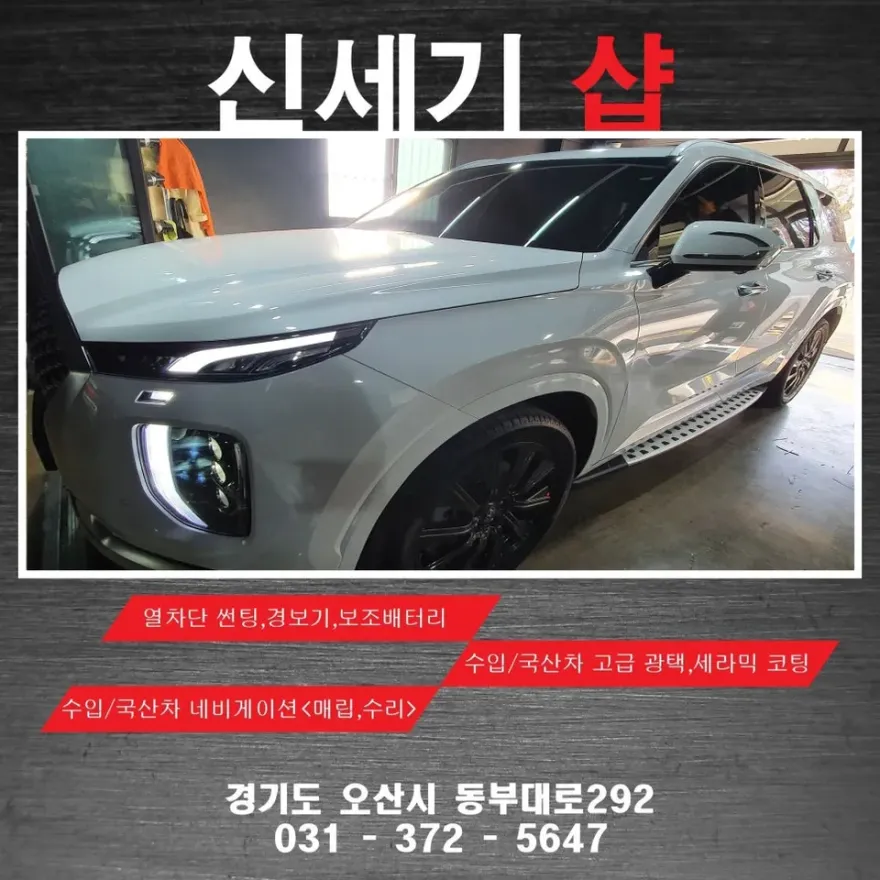 Hyundai Palisade oem options installation result