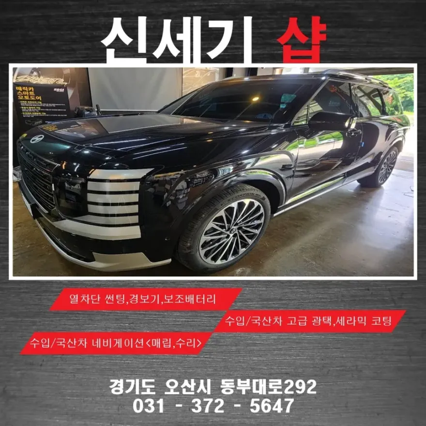 Hyundai Palisade oem options installation result
