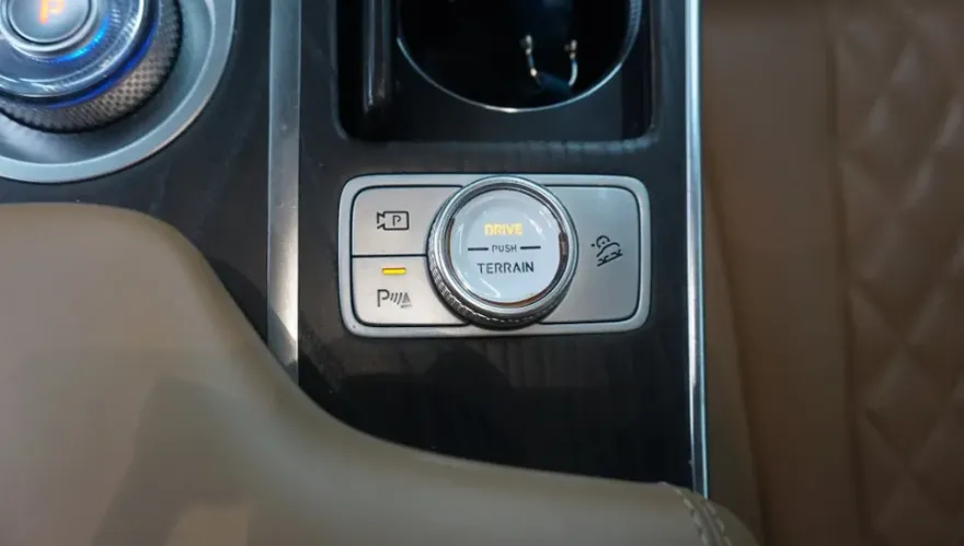 Genesis GV80 ambient lighting - Genesis GV80 Ambient Lighting Review — Cost & Results photo 5