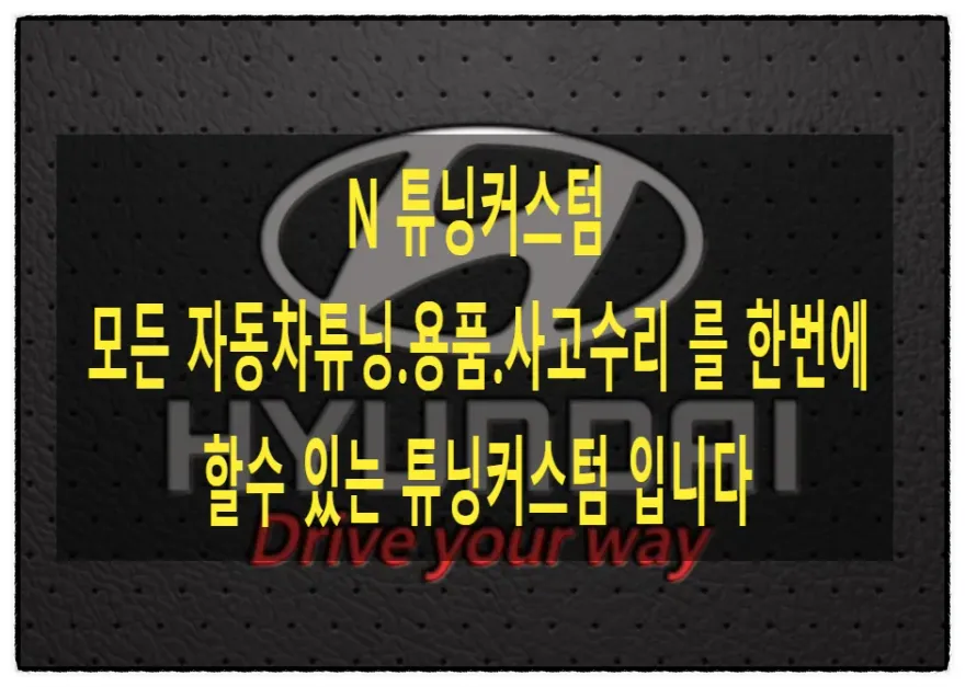 Hyundai Equus interior customization installation result